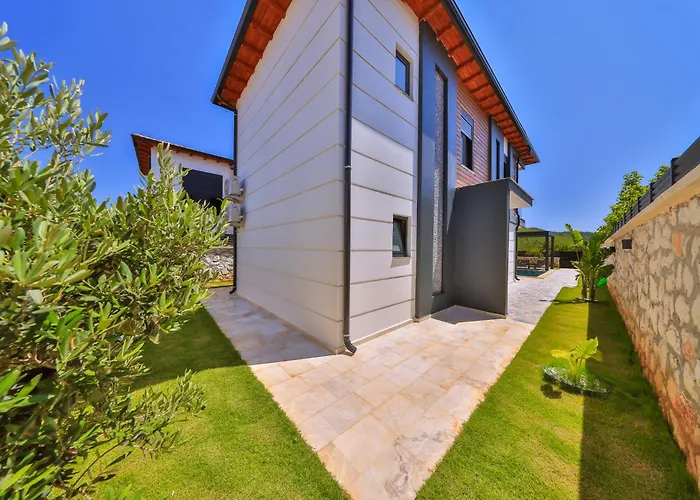 Makale فيلة كاس